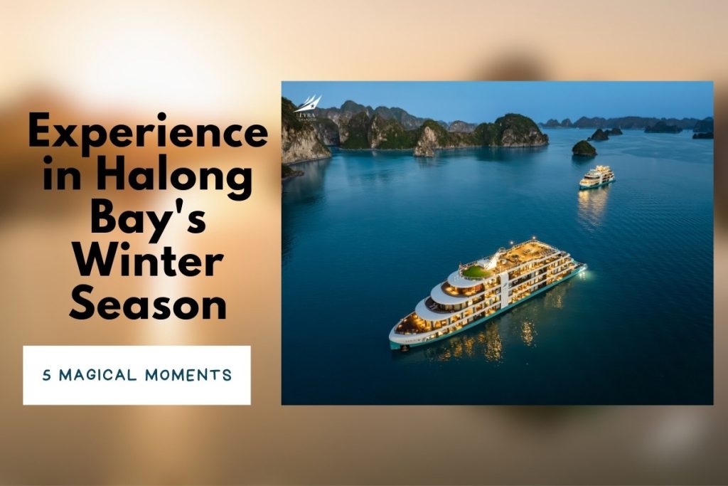 5 Magical Moments You'll Only Experience in Halong Bay's Winter Season