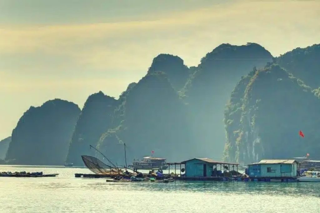 Beyond swimming and kayaking, a world of aquatic adventures awaits