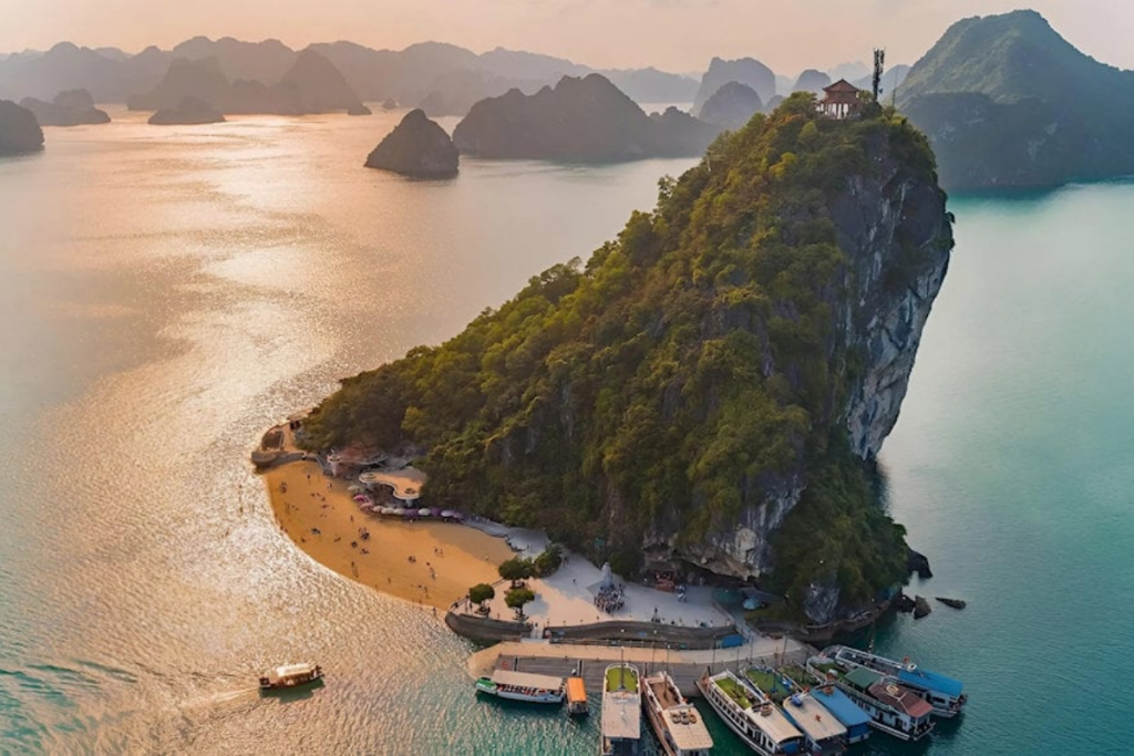 Vẻ đẹp mê hồn của đào Titop