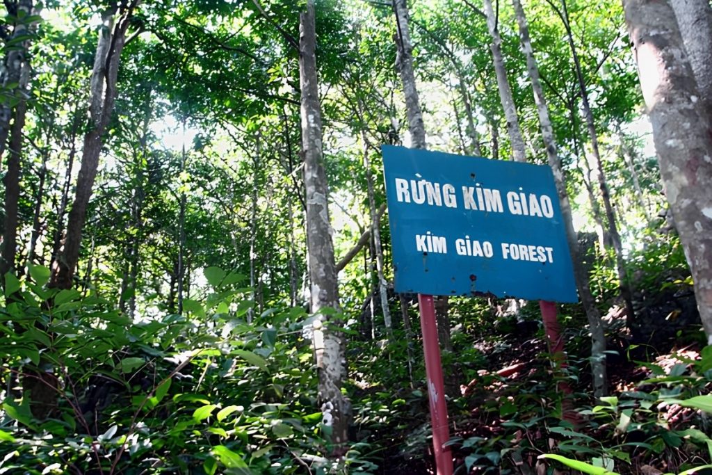 Kim Giao forest trail