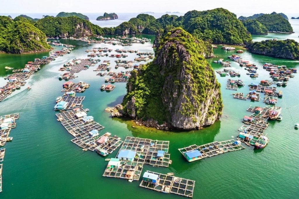 Floating communities in Lan Ha Bay